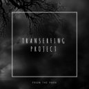 Transerfing Project - From The Park