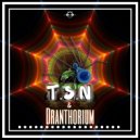 Dranthorium & T.S.N - Hallucinogen Spider