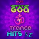 Trinodia - A11 (2013 Remix)