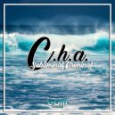 C.H.A. - Subliminal Criminal (Original Mix)