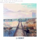 LoW RaDar101 & DeDrecordz - Beautiful Moments