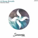 Discovery Culture - A Deep Breath