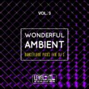 Miguel Serrano - Playground