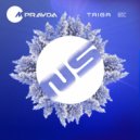M.PRAVDA - Taiga