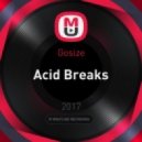Gosize - Acid Breaks (Original Mix)