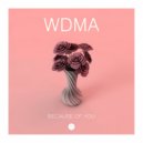 WDMA - Because of You (Original Mix)