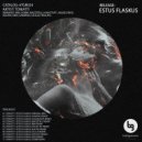 Toniatti - Estus Flaskus (Tessuto Remix)