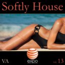 Boy Funktastic - Tropical Twist (Original mix)