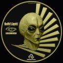 Bob Ray - Solid Liquid