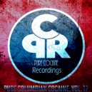 Steve C - Why So Serious 2 (Original Mix)