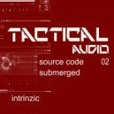 intrinzic - submerged
