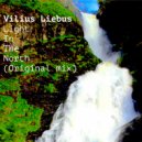 Vilius Liebus - Light In The North