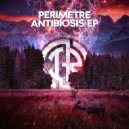 Perimetre - Flat Earth (Original Mix)