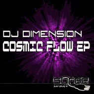 DJ Dimension - Not in Luv