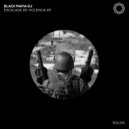 Black Mafia DJ - Identification System (Original Mix)