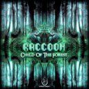 Raccoon - The Bird in the Head