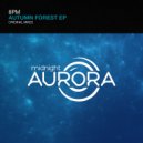 8PM - Autumn Forest