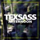 Texsass - Afternoon