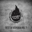 Royal Wolf - Crveni Djavoli (Original Mix)