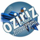 Oziriz & Dura - Boomberman (Yell Of Bee Edit Remix)