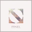 PINEL - Notations (Original Mix)