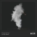 Dr3am5tep - In My Soul