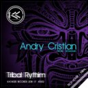 Andry Cristian - In the Rythim (Original Mix)