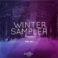 Sander Wilder - Defined