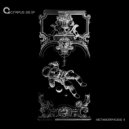Ian Mayer - Flux (Original mix)