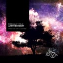 Miroslav Vrlik - Another Night