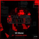 Vil Stone - Fucking Mind (Display AV Remix)