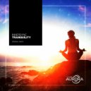 InnerSync - Tranquility