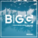 Gooch Brown & Ipunkz - Wild Night (Original Mix)