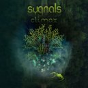 Sygnals - Forest Community (Original Mix)