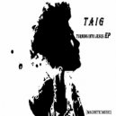 Taig - Spaceship