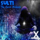 Sulti & & - The Spirit Molecule (Original Mix)