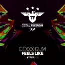 Dexxx Gum - Feels Like (Original Mix)