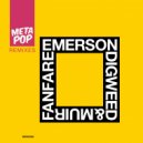 John Digweed & Darren Emerson & Nick Muir - Fanfare