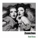 Zsanchos - Magic Mushrooms