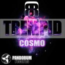 TREMPID - To meet a new challenge (Original Mix)