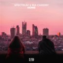 Spectrum & Ria Choony - Home (feat. Ria Choony) (Original Mix)