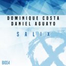 Dominique Costa & Daniel Aguayo - Salix (Original Mix)