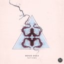 Bronze Whale - Patterns (Original Mix)