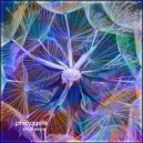 Phincycle - Starkeeper 1