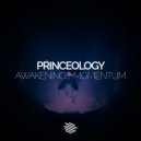 Princeology - Momentum (Original Mix)
