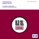 Cryptic Realms - Inside Of You