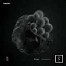 J Sagi - Profane Life