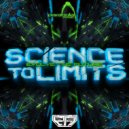 Evolve The Future - Parabola Experience (Original Mix)