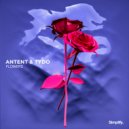 Antent & Tydo - Flowers