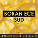 Boran Ece - Sud